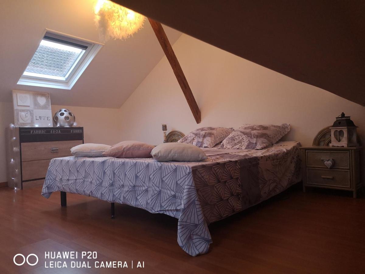 Le Tout Doux D Enzo Avec Soins Bien-Etre Espace Detente Épernay Kültér fotó